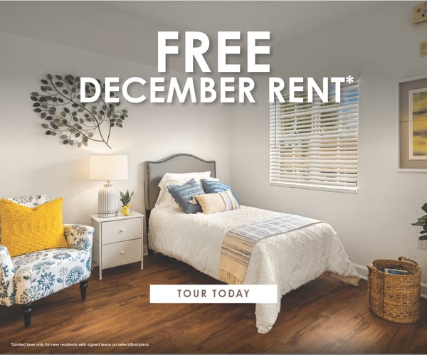 1761252810611-c1c3d1a9-c21c-4b3e-a714-8ef3a99ade8c_1